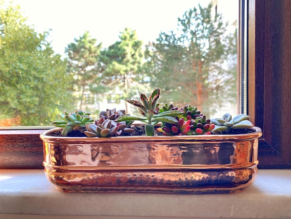 Ontdek Verzoekschrift straf Lange koperen plantenbak vensterbank rechthoekige plantenbak - Etsy België Ontdek Verzoekschrift straf Lange koperen plantenbak vensterbank rechthoekige plantenbak - Etsy België