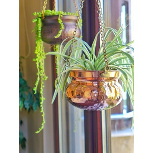 May include: Two hanging copper planters with plants. The top planter is a darker copper color and the bottom planter is a lighter copper color. Both planters have a hammered texture.