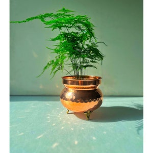 May include: A copper planter with a hammered finish and three legs, holding a green asparagus fern plant.