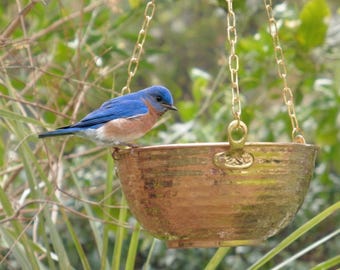Hand Hammered Copper Bird Bath - Outdoor Garden Decor - Rustic Decoration & Bird Feeder