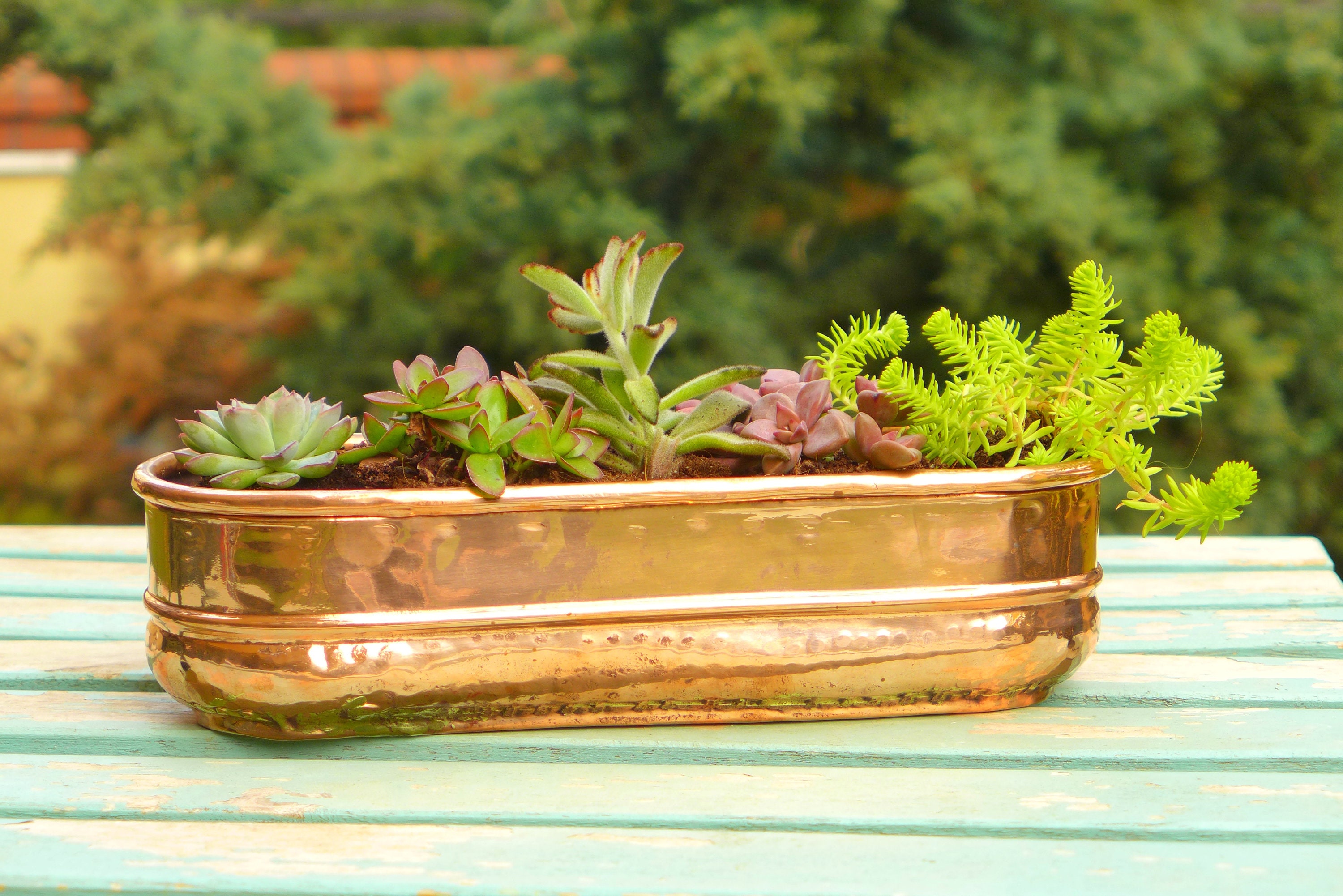 Long Planter Bronze