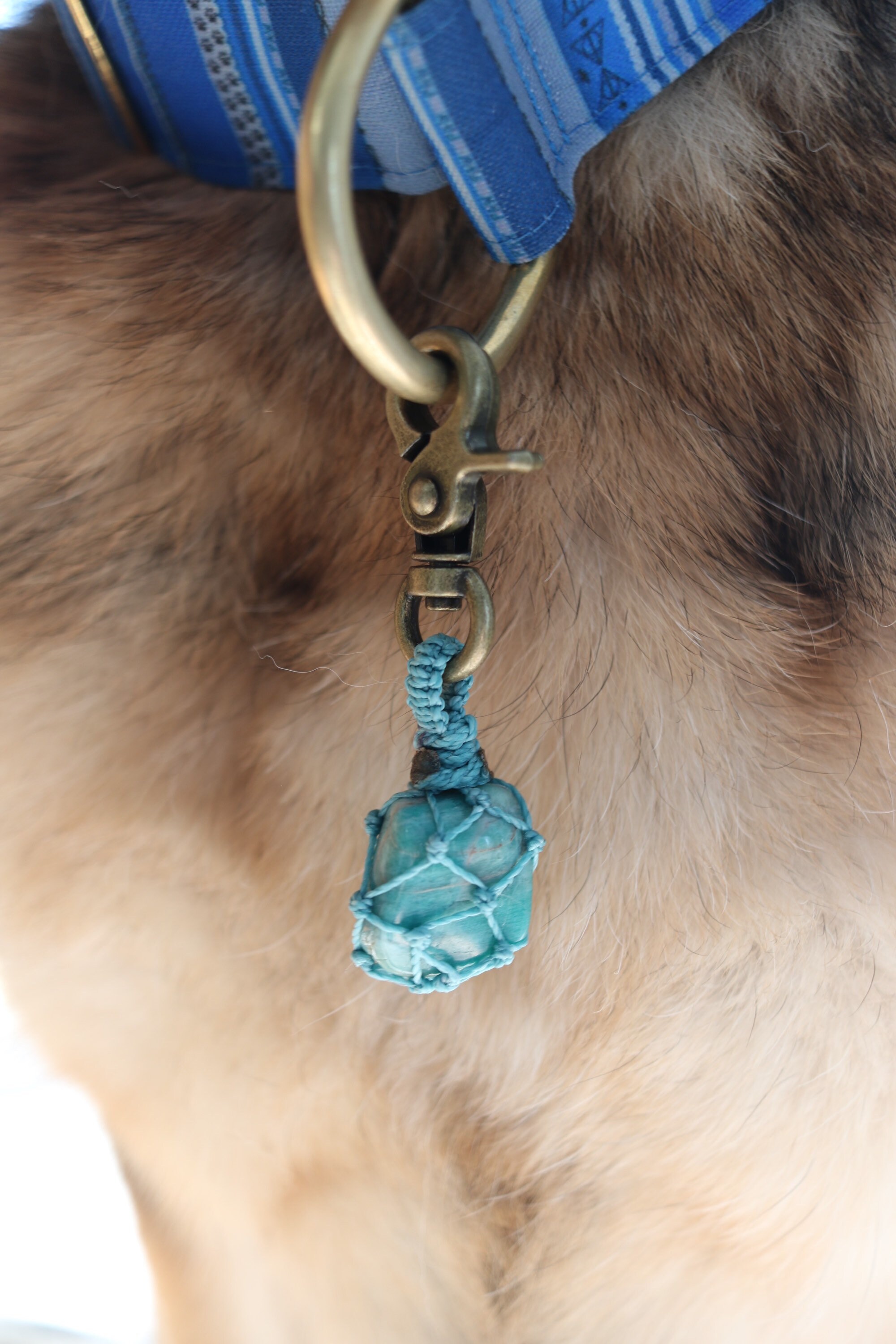 Amulette Amazonite Lithothérapie Personnalisée Pour Animaux