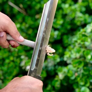 K&ouml;nnte beinhalten: Eine Person verwendet ein scharfes, silbernes Messer, um ein St&uuml;ck Holz zu schnitzen.