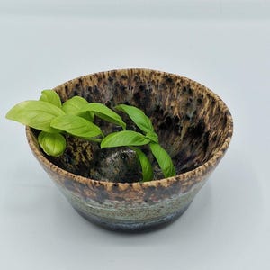 May include: A ceramic bowl with a speckled glaze featuring shades of brown, black, and muted blue. The interior has a dark, mottled finish, while the exterior transitions to a lighter blue tone. A sprig of fresh green basil rests inside the bowl.