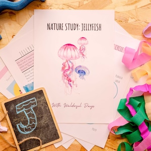 Jellyfish Digital Journal, Waldorf Inspired Educational Journal For Kids, Jellyfish Life Cycle, Instant Download, Jellyfish Anatomy Workbook