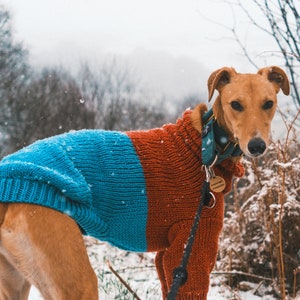 The EZRA Sighthound Jumper Pattern (large sizes)