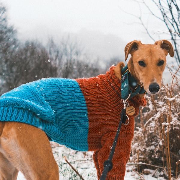 Modèle de pull lévrier EZRA (grandes tailles)