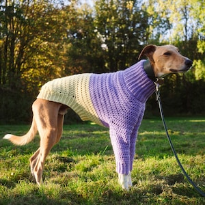 Puede incluir: Un perro lleva puesto un suéter de ganchillo de dos tonos que presenta una sección frontal morada con un cuello alto acanalado y una sección trasera de color amarillo pálido. La prenda tiene mangas largas y un dobladillo acanalado.