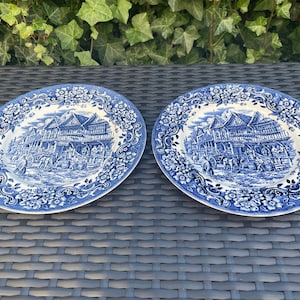 Beautiful dinner plates Royal Tudor Ware (2 pieces)