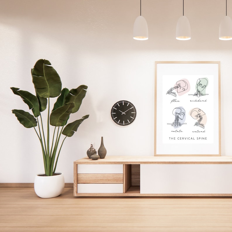 Printable Wall Art, Clinic Room, Anatomy Poster, Line Drawing, Cervical