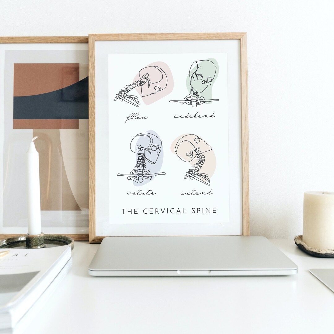 Printable Wall Art, Clinic Room, Anatomy Poster, Line Drawing, Cervical