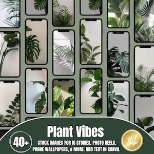 Stock fotografico di piante, storie ig, bobine ig, copertine ig, sfondi del telefono, post ig, modifica in tela, facile da scaricare, mamma pianta