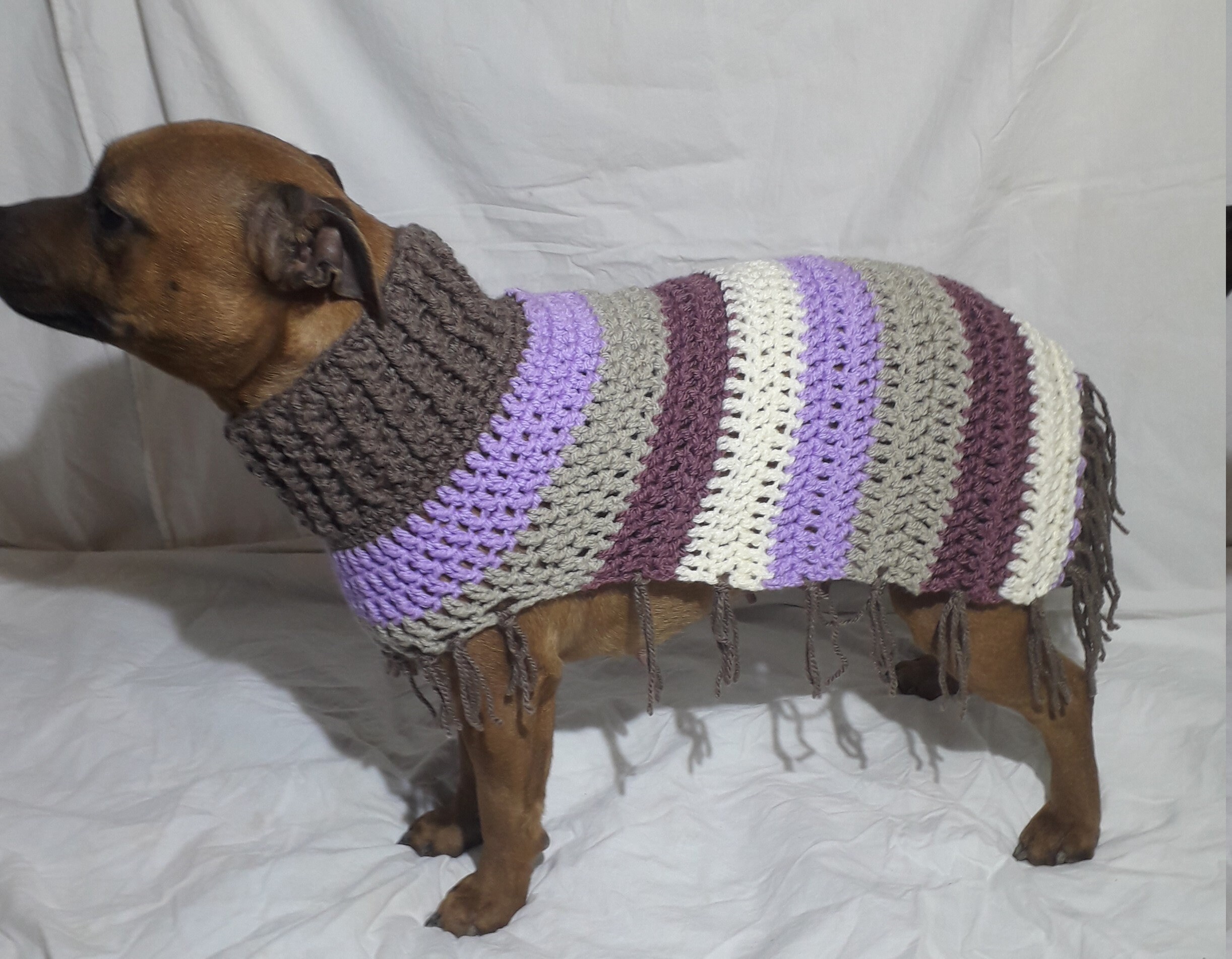 Poncho Pour Chien, Pull Pratique Confortable