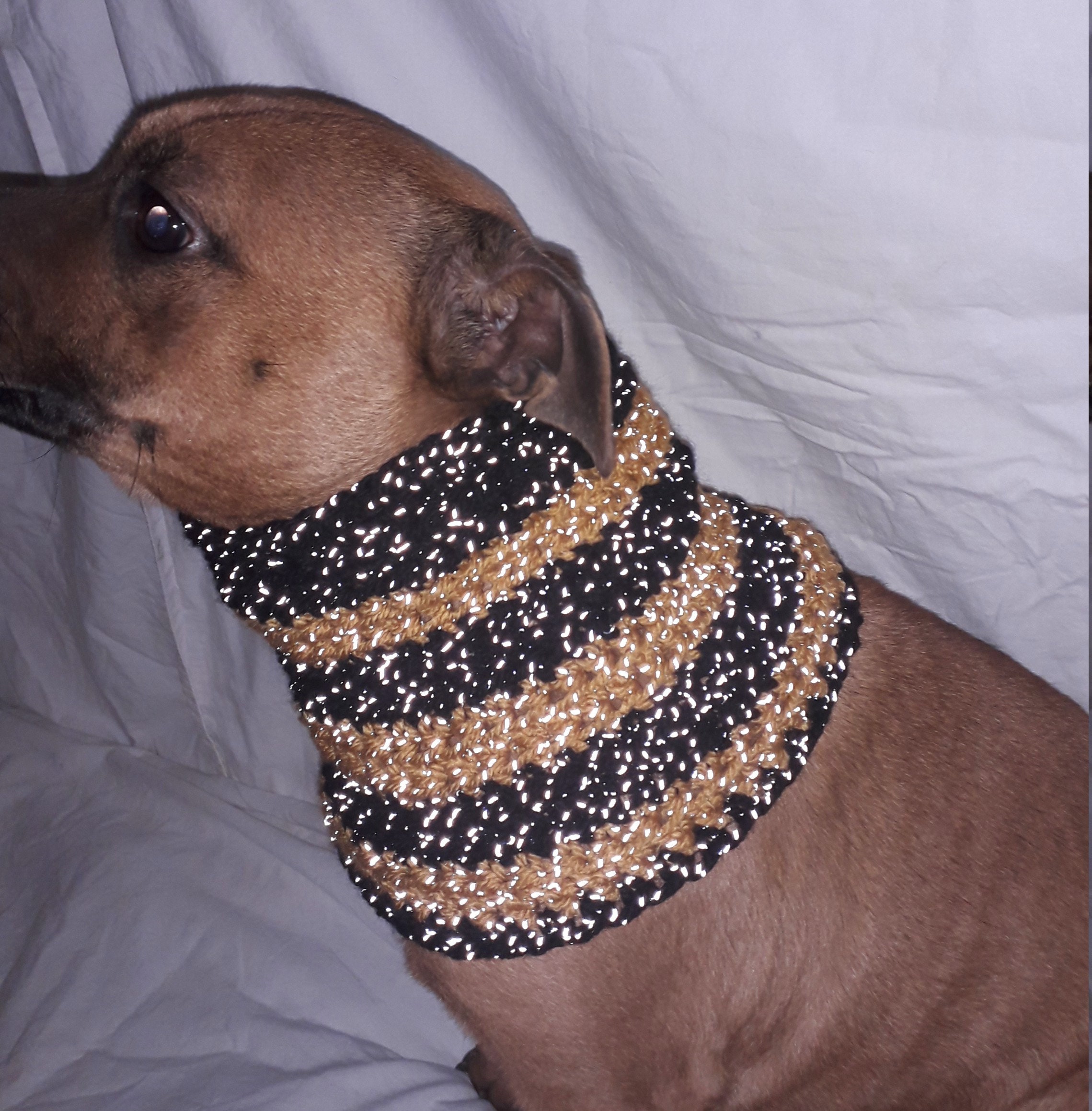 Snood Chien Réfléchissant La Nuit, Écharpe, Tour de Cou, Cache Oreille, Épaule