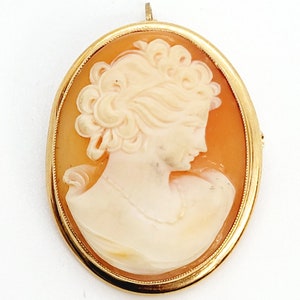 May include: A gold-toned cameo pendant featuring a carved portrait of a woman with detailed hair and a delicate necklace. The cameo is set in an oval frame.