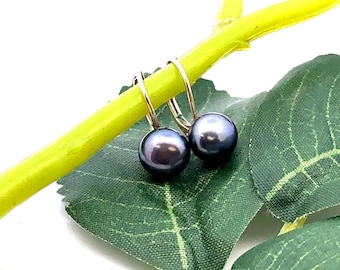 14K Yellow Gold Tahitian Black Pearl Lever Back Earrings