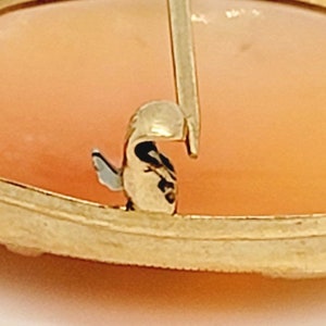 May include: Close-up of the back of a gold-toned brooch with a cameo. The cameo is oval-shaped and features a light orange shell. The brooch has a safety clasp.