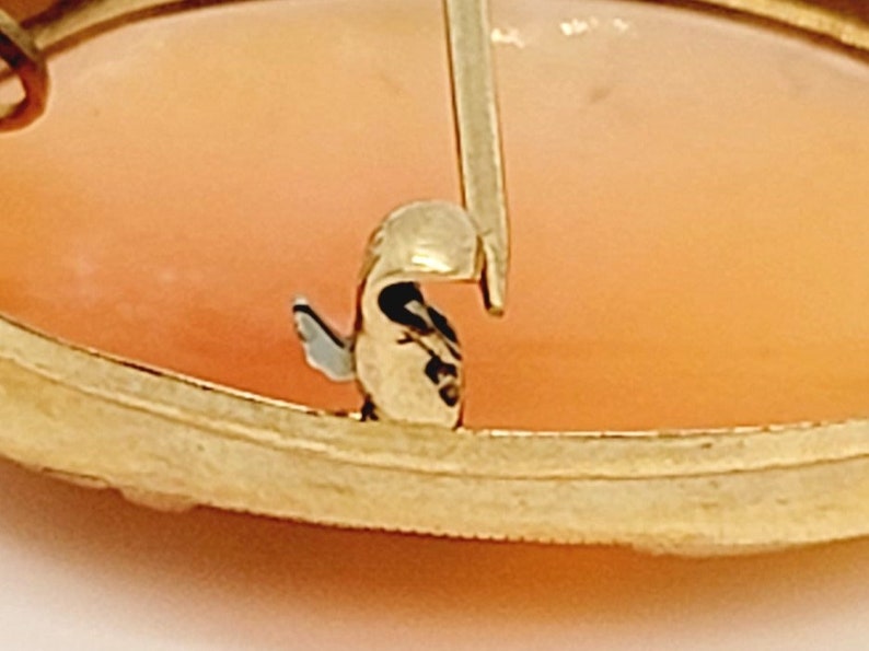 May include: Close-up of the back of a gold-toned brooch with a cameo. The cameo is oval-shaped and features a light orange shell. The brooch has a safety clasp.
