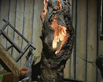 May include: A rustic wooden lamp made from a tree trunk with a natural wood base. The lamp has a warm, glowing light emanating from the hollowed-out center of the trunk.
