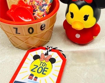 Personalized Cruise Ice Cream Gift Set, Mickey Minnie Duck, Custom Tag, Sprinkles
