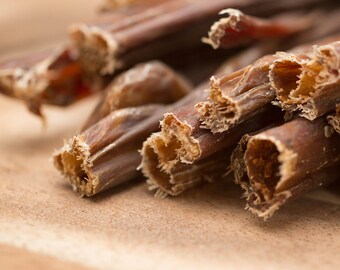 lamb spaghetti for dogs