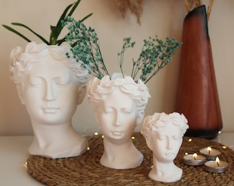 3 Größen Helen-Statue-Vase, Helen-Blumentopf, griechische Göttin-Statue, griechische Mythologie-Statue, römischer Stil-Kopfbüste-Pflanzer, römischer Venusgesicht-Topf