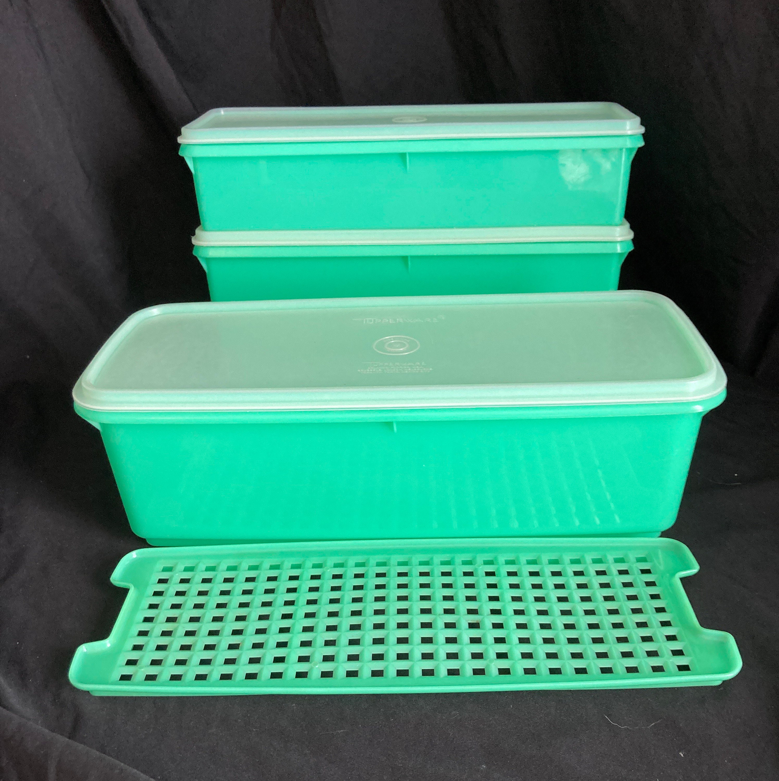 .com: Vintage Lettuce Crisp It Storage Container Lettuce Keeper  w/insert: Other Products: Home & Kitchen
