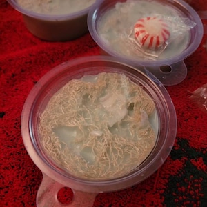Peppermint Loofah Soap or Soap on A Rope