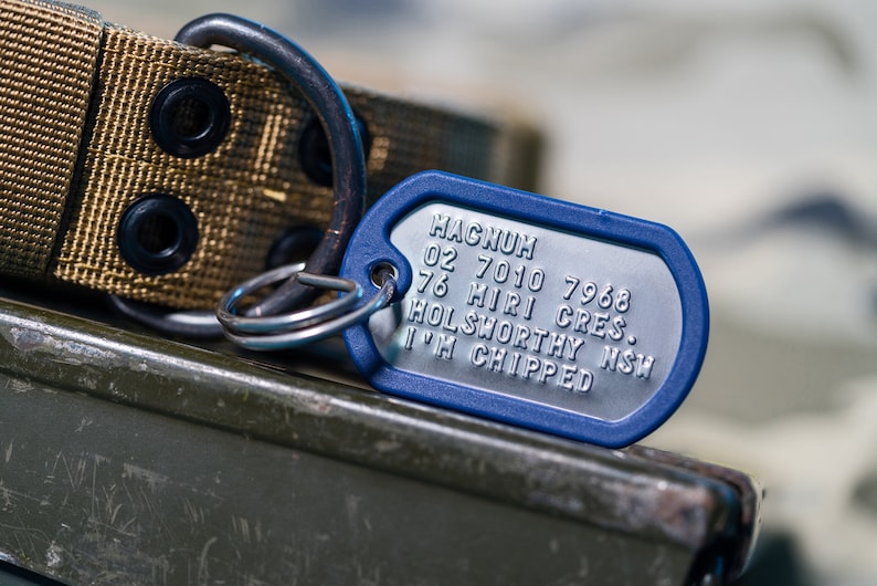 May include: A blue metal dog tag with the text "HAGNUM 02 7010 7968 76 HIRI CRES. HOLSWORTHY NSW I'M CHIPPED" engraved on it.