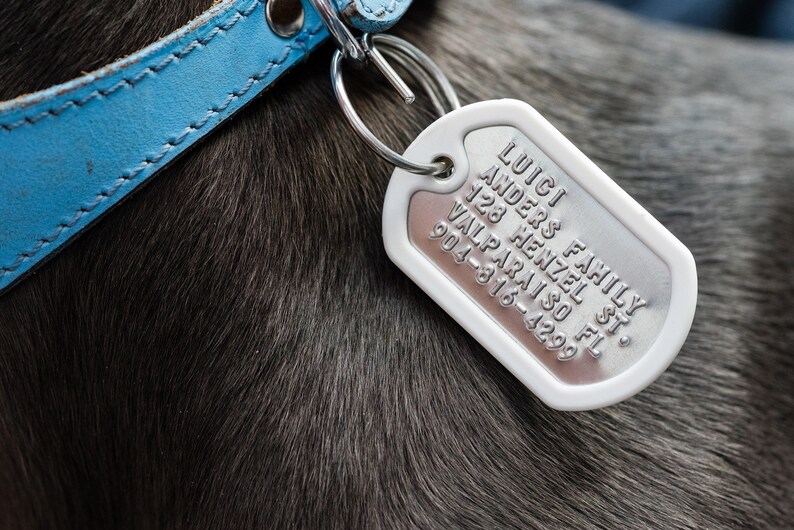K&ouml;nnte beinhalten: Ein silbernes Hundehalsband mit dem Text "FAMILY LUCICI ANDERS 128 HENZEL ST. VALPARAISO FL 904-816-4299" darauf.