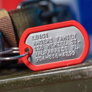 May include: Red metal dog tag with the text "LUIGI ANDERS FAMILY 128 MENZEL ST. VALPARAISO FL 904-816-4299" on a silver background.