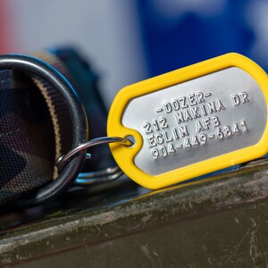 K&ouml;nnte beinhalten: Ein gelber Hundeanh&auml;nger mit einem silbernen Metallschild. Das Schild tr&auml;gt die Aufschrift "DOZER - 212 NAKINA DR EGLIN AFB 904-449-6841".