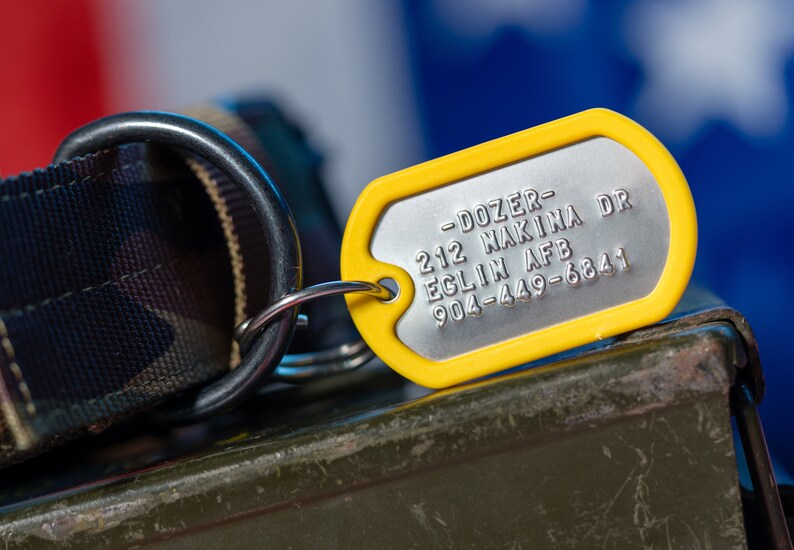 K&ouml;nnte beinhalten: Ein gelber Hundeanh&auml;nger mit einem silbernen Metallschild. Das Schild tr&auml;gt die Aufschrift "DOZER - 212 NAKINA DR EGLIN AFB 904-449-6841".