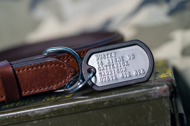 Black casing on pet ID tag made from US military dog tag.