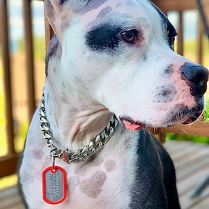Dog Tags for Dogs literally Dog ID tags, Pet ID Tag, Dog name tag, Custom pet tag, Dog collar tag. Military style, tough and quiet immagine 8