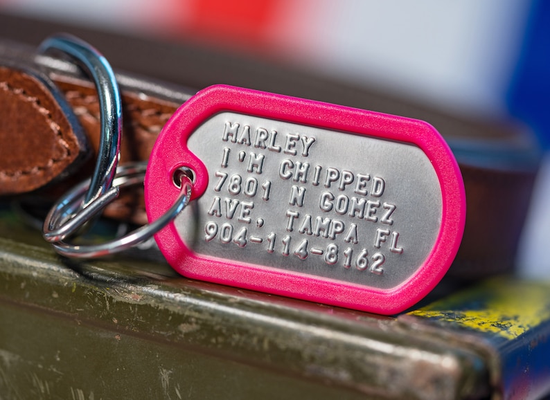 K&ouml;nnte beinhalten: Pinkes Hundehalsband mit silbernem Metalleinsatz. Das Schild tr&auml;gt die Aufschrift "Harley I'm chipped 7801 N Gomez Ave. Tampa FL 904-114-8162".