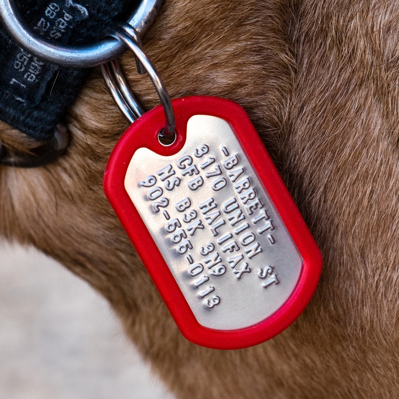 K&ouml;nnte beinhalten: Ein rotes Hundehalsband mit einem silbernen Metallschild, das an einem schwarzen Lederhalsband befestigt ist. Das Schild tr&auml;gt die Aufschrift: -BARRETT- 3170 UNION ST GFB HALIFAX NS B3K 3N9 902-566-0113