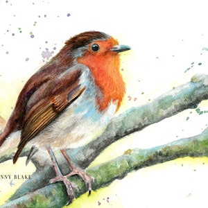 Rotkehlchen - Aquarell Fine Art Print