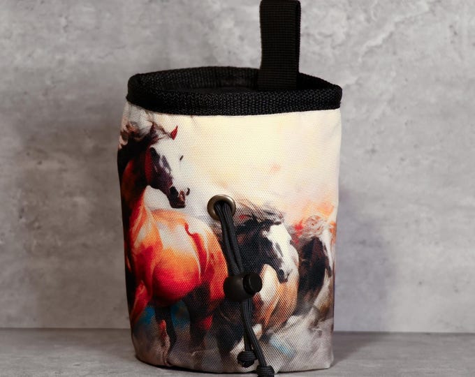 Wild Spirit Chalk Bag  | Gallop into the Crux