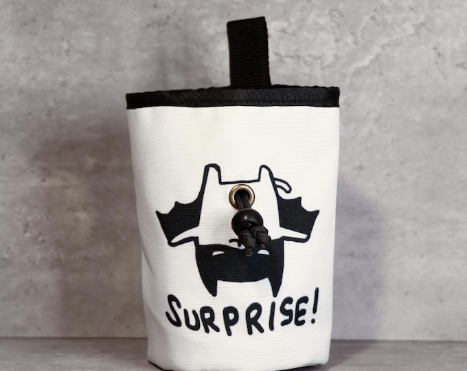 Surprise Bat Chalk Bag — A Little Winged Trickster