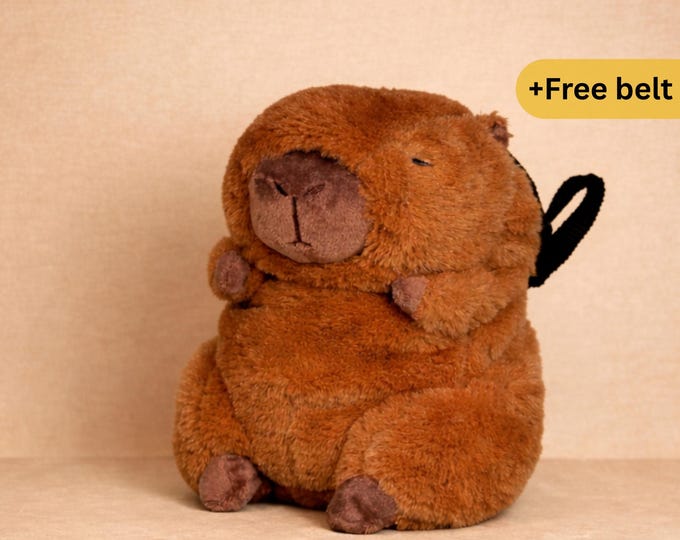 Minimalist Capybara Chalk Bag | Plush Rock Climbing Bag