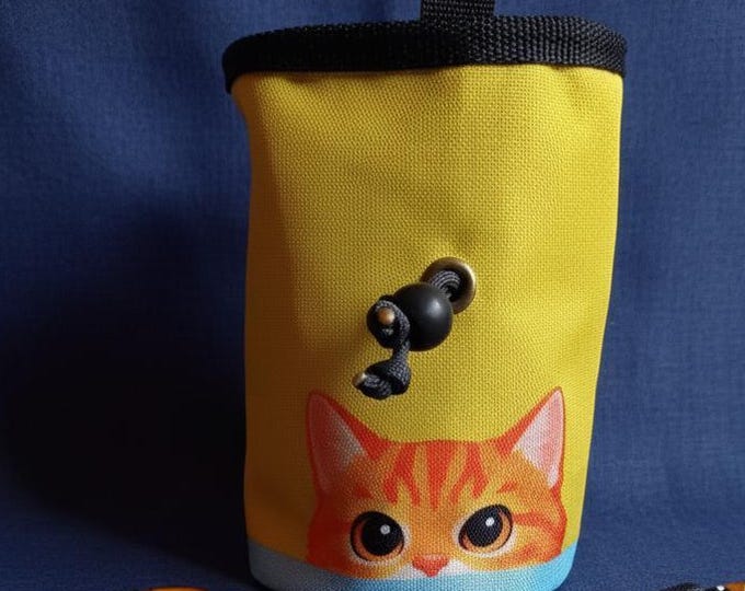 Orange Tabby Cat Chalk Bag