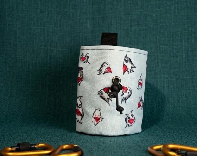 Sassy Birds Chalk Bag — Chirp & Climb Edition