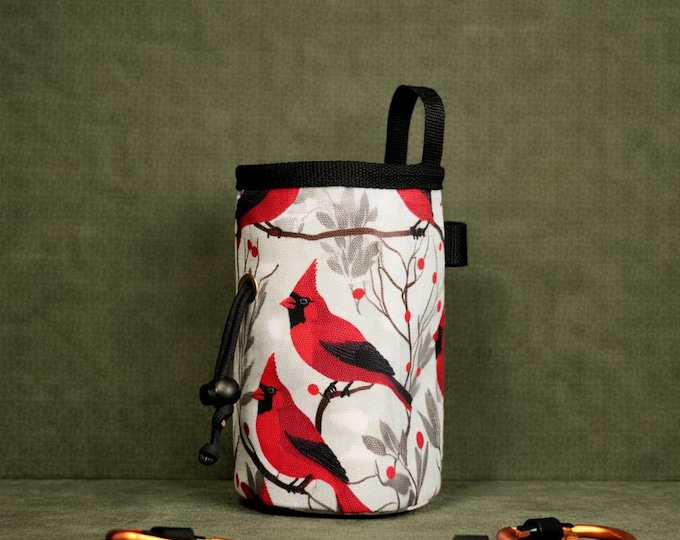 Chalk Bag "Winter Cardinals"  – Nature-Inspired Climbing Vibes