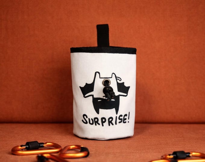 Surprise Bat Chalk Bag — A Little Winged Trickster