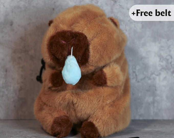 Sad Capybara Chalk Bag | Emotional Plush Chalk Bag for Climbers