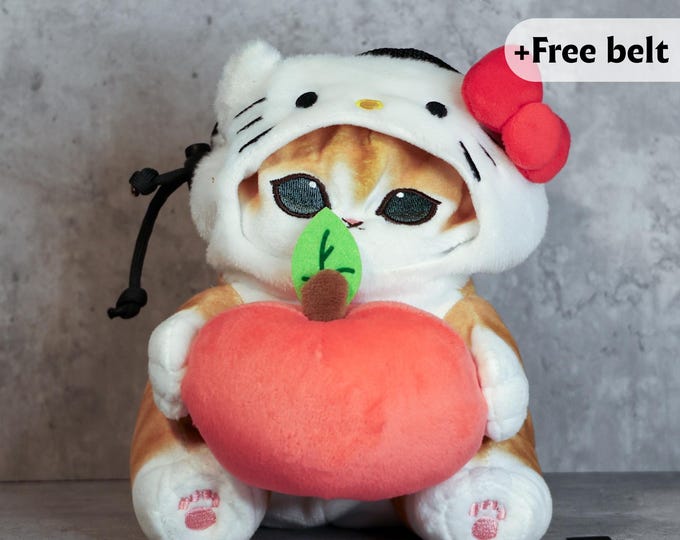 Peach Kitty Chalk Bag – Sweetest Climb Edition