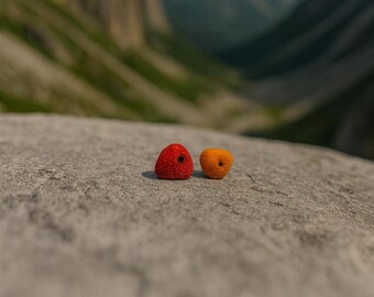 Handmade Climbing Hold Earrings, Polymer Clay Rock Climbing Jewelry, Gift for Climbers