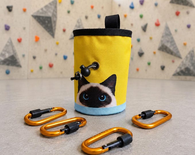 Siamese Cat Chalk Bag