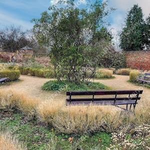 Valentine’s Park (Instant Download) - Park Scenery, Nature Photography, Home Decor, Wall Art